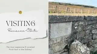 Visiting Domaine de la Romanée-Conti Vineyard | The World's Most Expensive Wine | HD Drone Footage