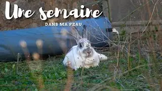 Une semaine dan ma peau avec mes animaux