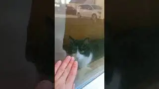 Знайомство.))