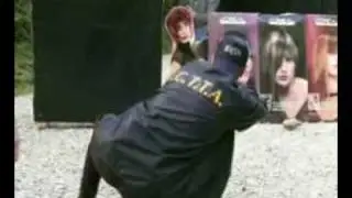 ТАКТИЧЕСКАЯ СТРЕЛЬБА. TACTICAL SHOOTING ICTTA.