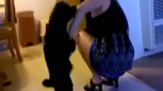 собака насилует руку девушке