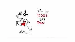 Why do Dogs eat Poop?