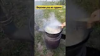 🐟Уха из судака в казане😋
