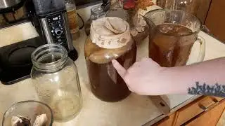 How To Make Kombucha Tea At Home || Fermented Drink || Probiotic Drink