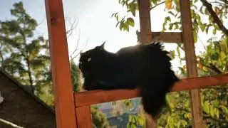Сочи. Горное Лоо. Утро. +18°C. 23. 10.2023г.©
