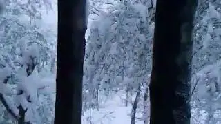 Барфи вазбин