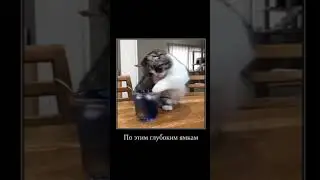комару едет на печке 