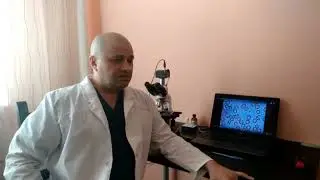 Про клиническое микроскопирования  крови