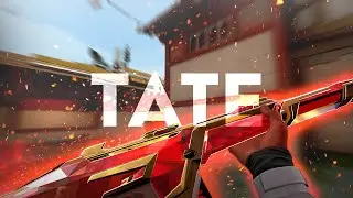 Andrew Tate 🗿🚬 (Valorant Montage) (FREE TOP G)
