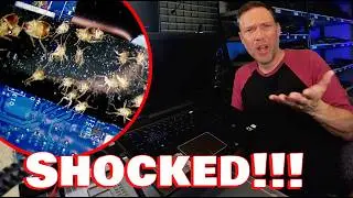 This Wasn’t a Laptop Repair… It Was a Biohazard! Bed Bugs! Cat Pee!