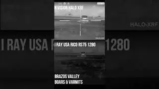 1280 iRay vs N-Vision XRF