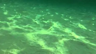 #mareprofumodimare