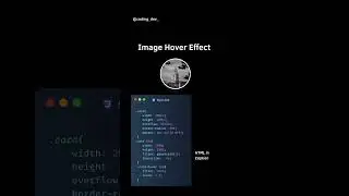 Image Hover Effect