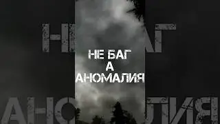 Не БАГ, а АНОМАЛИЯ. STALKER CHERNOBYL CHRONICLES/ХРОНИКИ ЧЕРНОБЫЛЯ 