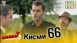 БИОГРАФИЯИ ШАВКАТ КИСМИ ОХИРОН