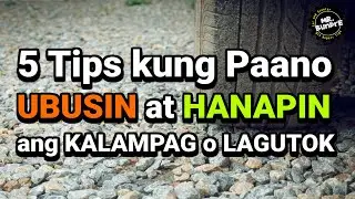5 TIPS KUNG PAANO UBUSIN at HANAPIN ANG KALAMPAG o LAGUTOK ng SASAKYAN