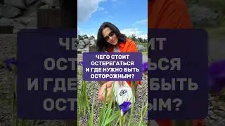 ЧЕГО СТОИТ ОСТЕРЕГАТЬСЯ И ГДЕ НУЖНО БЫТЬ ОСТОРОЖНЫМ?