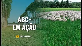 ABC+ CIRCUITO PASSA POR 10 MUNICÍPIOS DE MT ATÉ NOVEMBRO