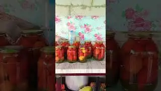 МОИ ЗАГОТОВКИ