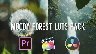 Crazzyy FREE Forest Moody LUTs || Final Cut Pro || Premiere Pro || 2022