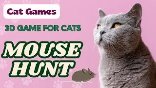 Cat Games | 3D Mouse Hunt Game for Cats 🐭 | No Ads - 4K