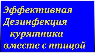 Дезинфекция курятника вместе с птицей !