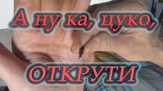 Демонтаж зеркала в Canon 550D. А ну ка цуко открути.  # 1