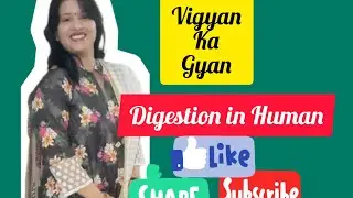 Digestion in Human Being (Mouth to Stomach) Part -1