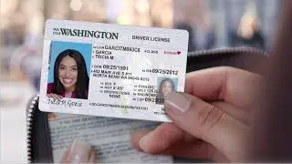 Driver License Hack (Renew Online)