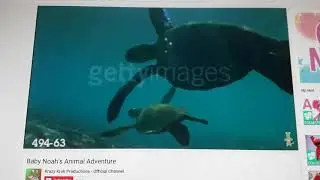 Baby Noah's Animal Adventure - In the Ocean