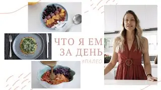 ЧТО Я ЕМ ЗА ДЕНЬ #4 | Палео, низкоуглеводная диета