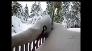 Flag After the Blizzard of 2013