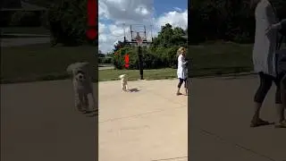 Who’s got the best reaction??