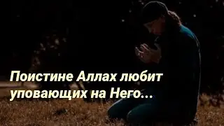 Упование на Аллаха-Исмаиль абу Мухаммад