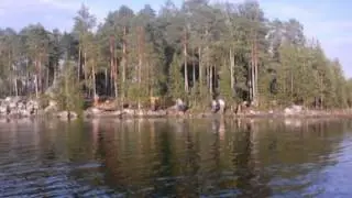 Поньгома. Увлекательное путешествие по рекам Шуо, Шомба и Поньгома