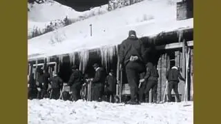 Paratroops