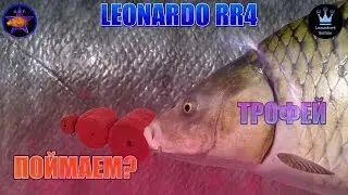 РУССКАЯ РЫБАЛКА 4 (РР4) - ПОЙМАЕМ ТРОФЕЙ? На рыбалке с Leonardo R