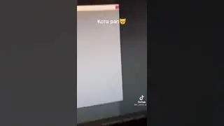 Кота рэп