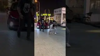 도로에 있는 벽돌을 치우기 위해 도움을 요청했는데..