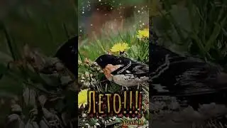 Доброе утро!!!☀️
