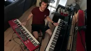 Californication (Red Hot Chili Peppers) cover by Andrés Macnamara