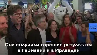 Выборы в Европарламент за одну минуту