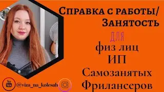 Занятость и справка с работы для визы: фрилансеры, ИП, самозанятые, физ лица.