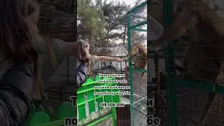 У них такие же пальцы как у нас 😍