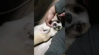 💕Милка и тебя не бросит💕