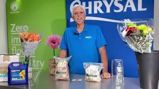 Revolutionizing Flower Care: Chrysal Paper Recyclable Sachets