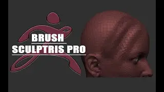 【ZBrush 2022】【memo】BRUSH: SCULPTRIS PRO