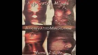 Aggrivated Minds - [Numb 2 Life] - Nu Metal - [2001] - Full Album