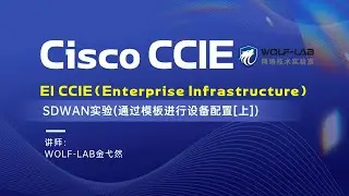 Cisco EI CCIE-SDWAN实验通过模板进行设备配置上
