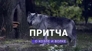 Притча о Козле и Волке